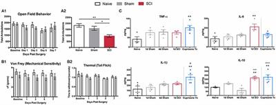 Transcriptional Profiling of Non-injured Nociceptors After Spinal Cord Injury Reveals Diverse Molecular Changes